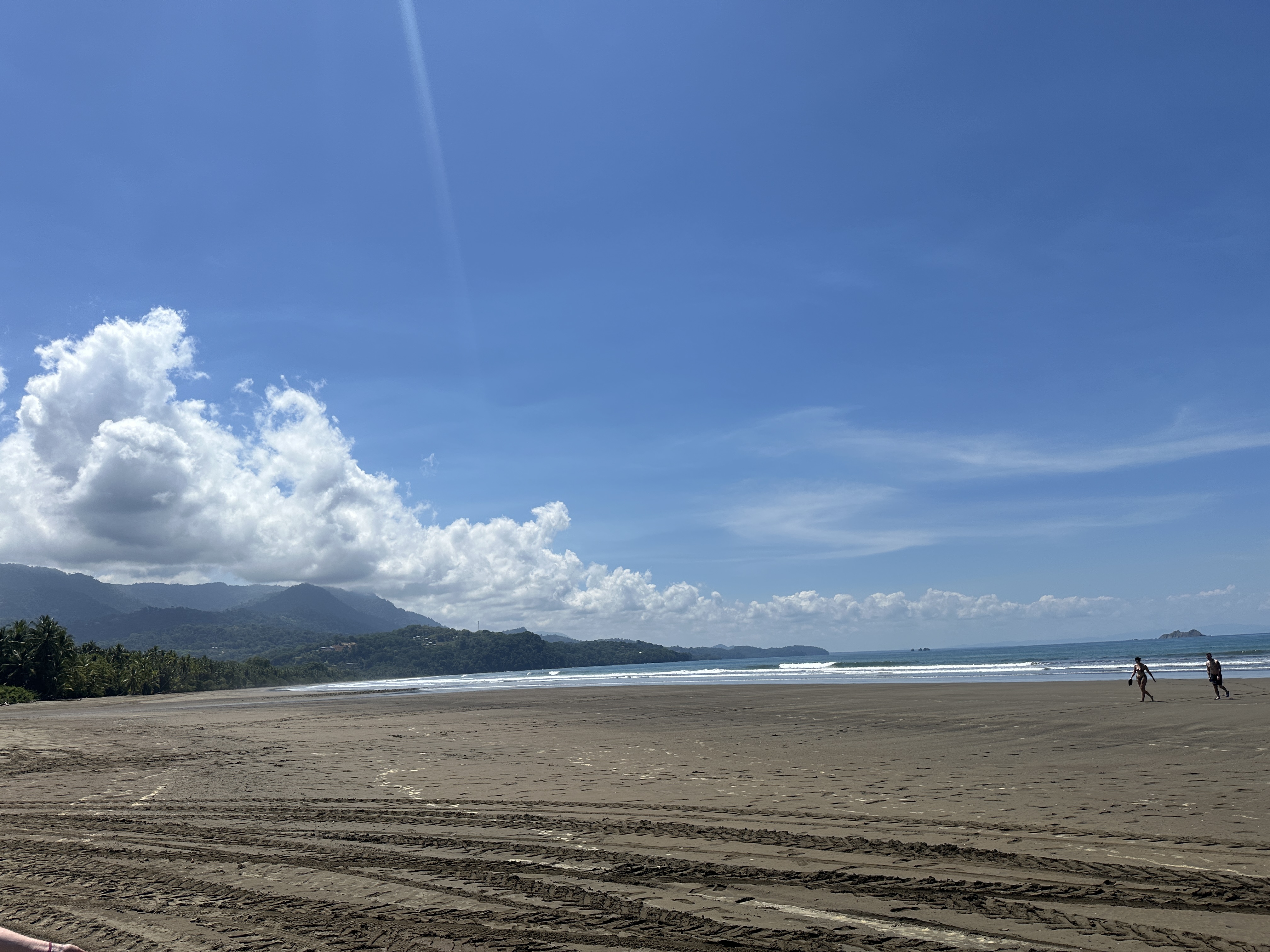 image of marino ballena beach